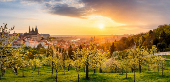 프라하 제2의 야경 스팟, 페트르진 공원 전망대