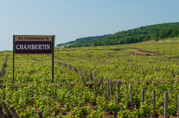 나폴레옹이 사랑한 와인, Gevrey Chambertin