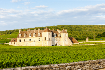 중세 와인 양조를 볼 수 있는 Clos de Vougeot
