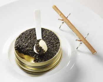 클래식 파인 다이닝의 정석, Epicure