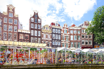 Singel 운하