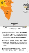 미리보기 7