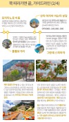 미리보기 21