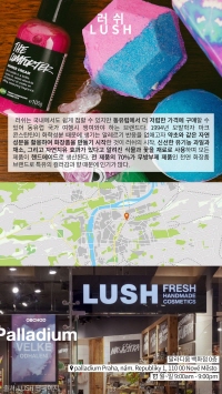 미리보기 13
