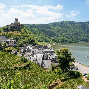 바일슈타인 Beilstein