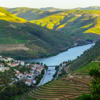 포르투갈 와인산지 하면 여기! DOURO VALLEY